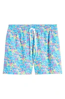 Chubbies Classic Lined 5.5-Inch Swim Trunks Bright Blue Tropical at Nordstrom,