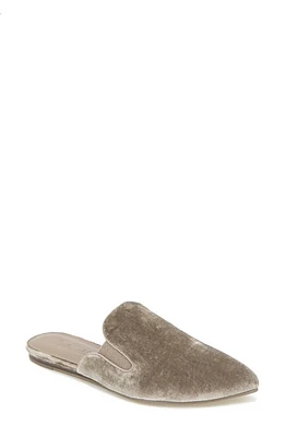 Splendid Liza Pointed Toe Mule Khaki at Nordstrom,