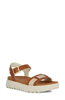 Geox Xand 2.1s Sandal at Nordstrom,