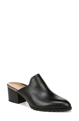 Vionic Claremont Block Heel Mule in Black at Nordstrom, Size 12