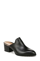 Vionic Claremont Block Heel Mule in Black at Nordstrom, Size 12