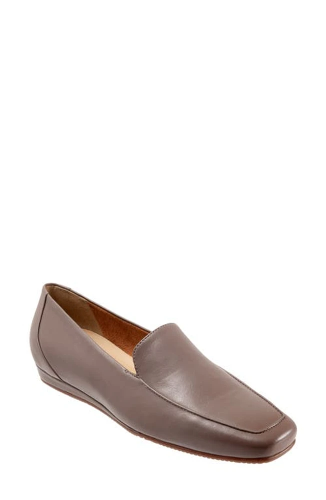 SoftWalk Vista Loafer Taupe Brown at Nordstrom,