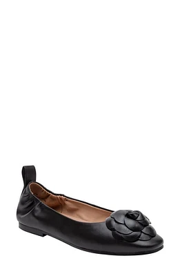 Linea Paolo Nina Ballet Flat at Nordstrom,