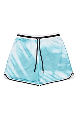 Blue Sky Inn Shadow Mesh Basketball Shorts Sha at Nordstrom,