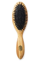 Altesse Beaute Petit Repair & Shine Brush for Thick or Curly Hair at Nordstrom