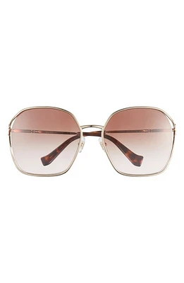 Miu Miu 60mm Gradient Round Sunglasses in Brown Gradient at Nordstrom