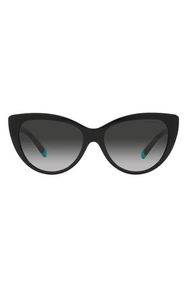 Tiffany & Co. 56mm Gradient Cat Eye Sunglasses in Black at Nordstrom