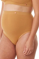 Cache Coeur High Waist Maternity Briefs at Nordstrom,