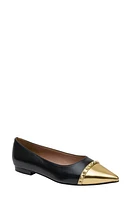 Linea Paolo Niche Pointed Toe Flat Black/Gold at Nordstrom,