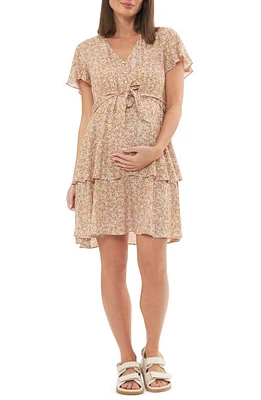 Ripe Maternity Brook Floral Layered Maternity/Nursing Dress Nutmeg at Nordstrom,