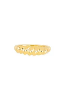 EF Collection Jumbo Twist Ring in 14Kyg at Nordstrom, Size 6