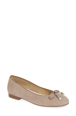 ara Scout Flat Taupe Suede at Nordstrom,