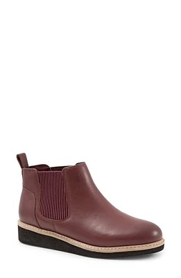 SoftWalk Wildwood Chelsea Boot Dk Brown at Nordstrom,