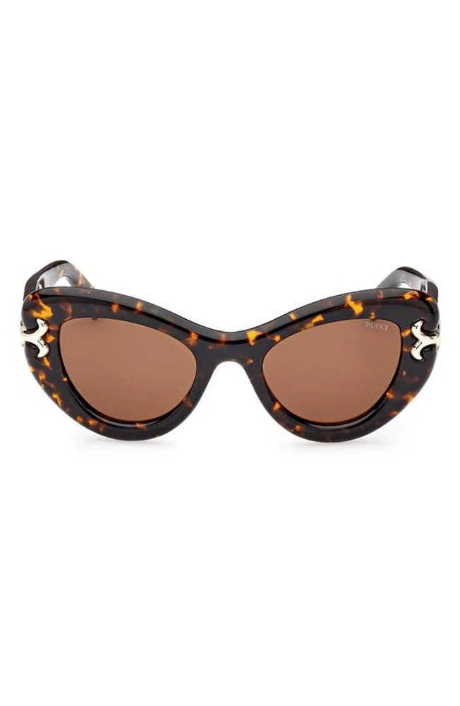 Emilio Pucci 50mm Small Cat Eye Sunglasses in Dark Havana /Brown at Nordstrom