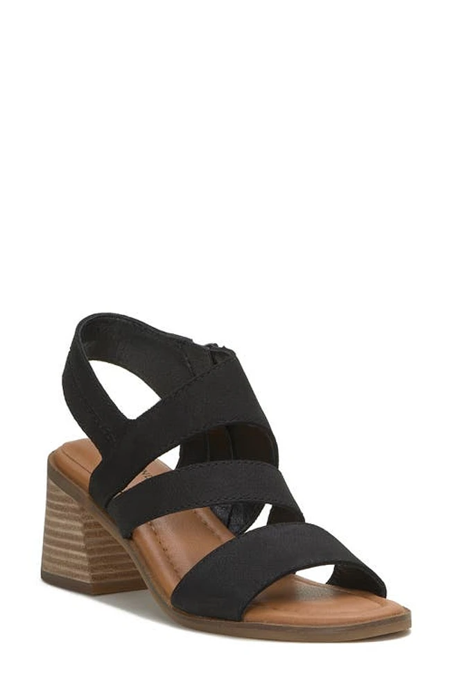 Lucky Brand Rhodette Block Heel Sandal in Black Acanbk at Nordstrom, Size 6