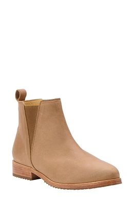 Nisolo Eva Everyday Chelsea Boot Almond at Nordstrom,