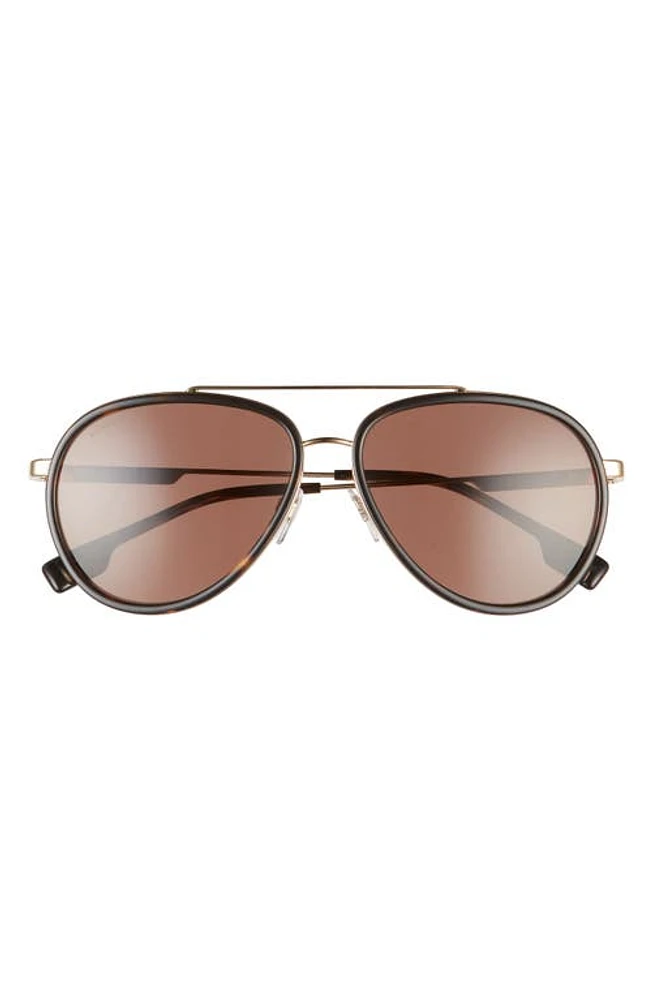 burberry 59mm Aviator Sunglasses in Gold/Dark Brown at Nordstrom