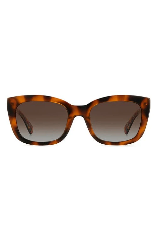 Kate Spade New York tammy 53mm rectangular sunglasses in Havana /Brown Grad Polar at Nordstrom