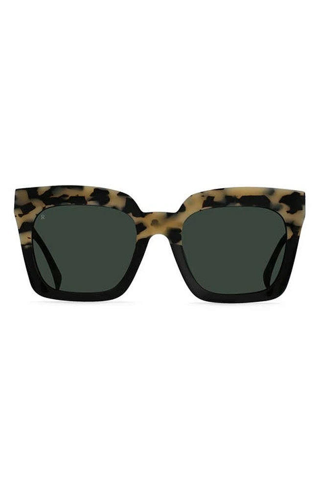 RAEN Vine 54mm Square Sunglasses in Chai/Green at Nordstrom