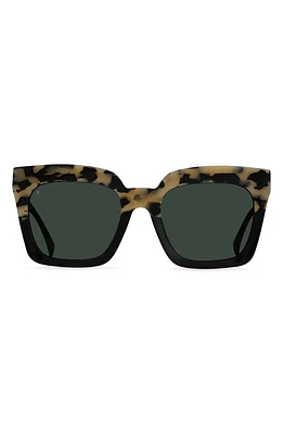 RAEN Vine 54mm Square Sunglasses in Chai/Green at Nordstrom