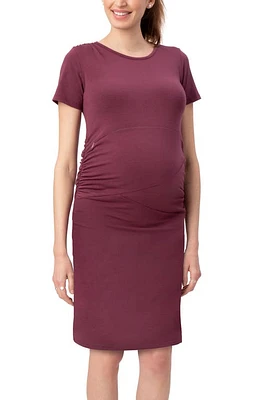 Stowaway Collection Gramercy Maternity/Nursing Dress Wine at Nordstrom,