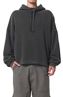 AGOLDE Dayne Washed Hoodie Fracture at Nordstrom,