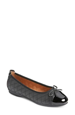 Josef Seibel Pippa Ballet Flat at Nordstrom,