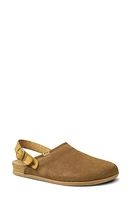 Reef Cushion Sage Platform Clog Coffee at Nordstrom,