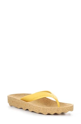 Asportuguesas by Fly London Feel Flip Flop Rubber at Nordstrom,