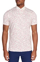 Redvanly Herrick Floral Performance Golf Polo at Nordstrom,