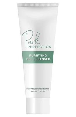 Park Perfection Purifying Gel Facial Cleanser at Nordstrom