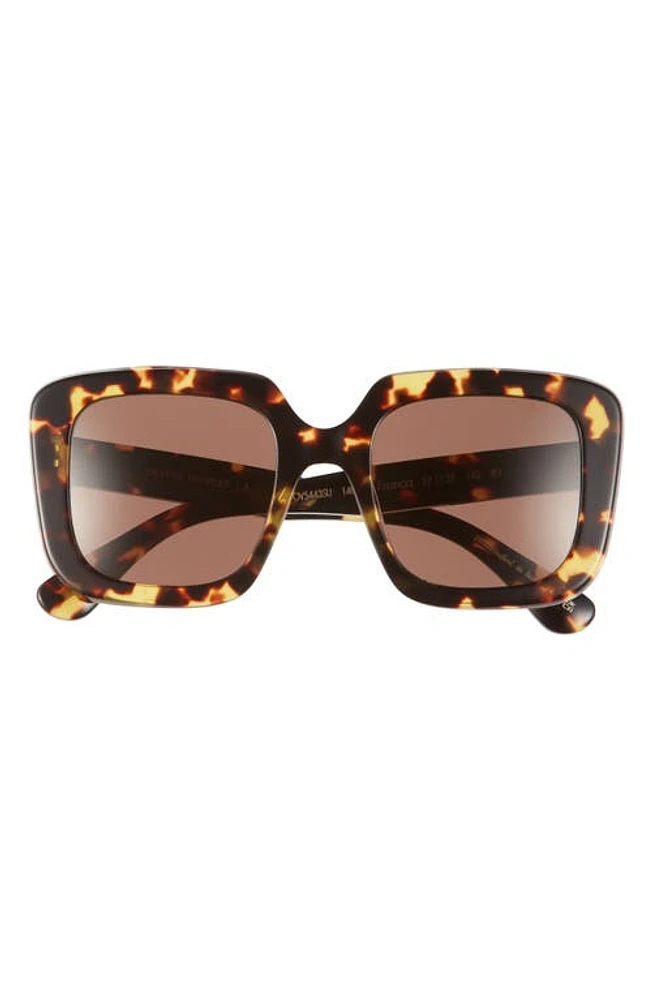 Oliver Peoples Franca 52mm Square Sunglasses in Dark Brown at Nordstrom