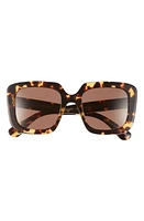 Oliver Peoples Franca 52mm Square Sunglasses in Dark Brown at Nordstrom