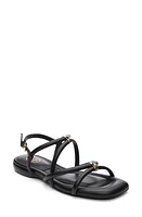 Ash Ruby Strappy Sandal at Nordstrom,