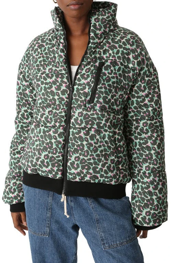 Electric & Rose Electric Leopard Puffer Jacket in Green/Multi at Nordstrom, Size Large