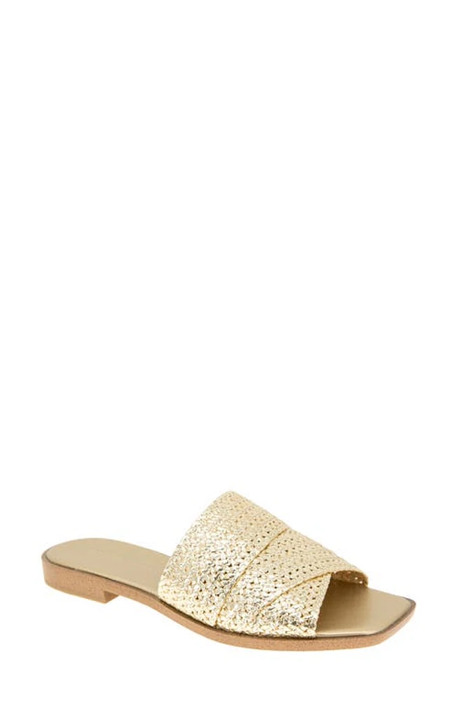 bcbg Lileen Slide Sandal Platino Raffia at Nordstrom,