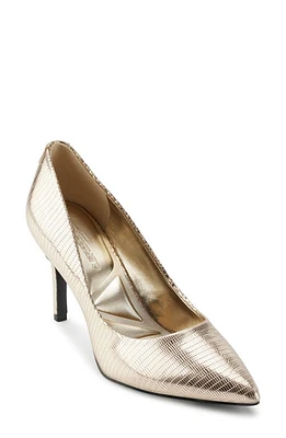 Karl Lagerfeld Paris Royale Pointed Toe Pump at Nordstrom,