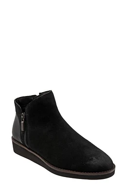 SoftWalk Wesley Bootie Black Suede at Nordstrom,