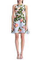 Oscar de la Renta Camellia Jacquard Sleeveless Fit & Flare Dress in Pink/Pale Blue at Nordstrom, Size Large