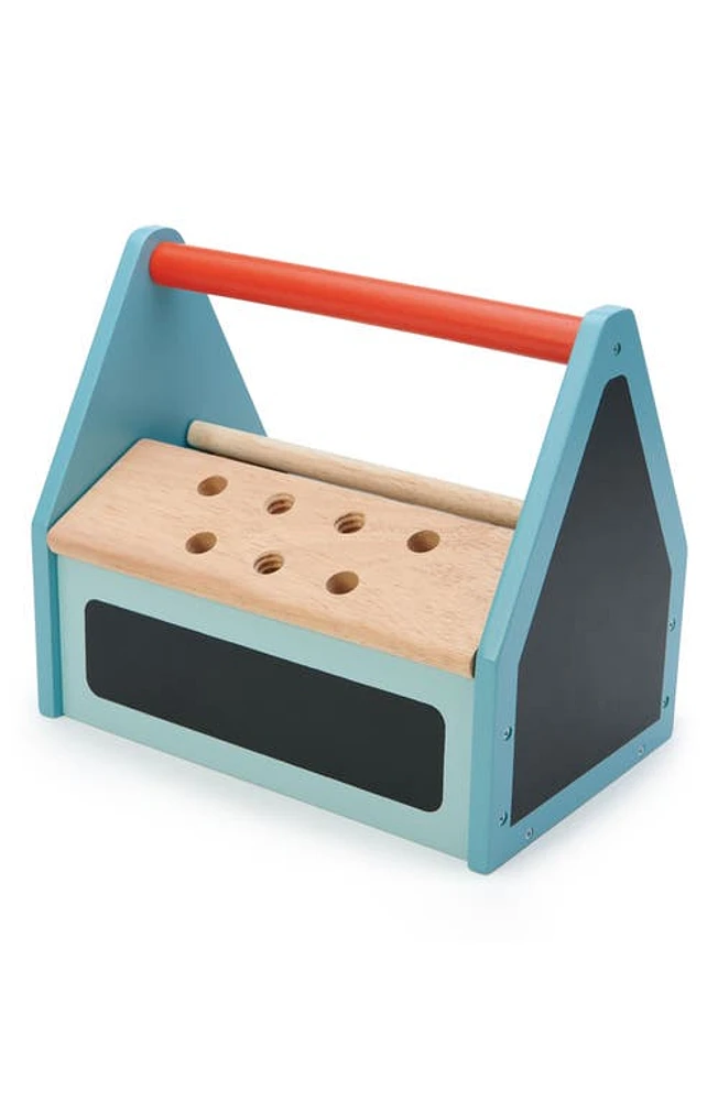 Tender Leaf Toys Tap Tap Tool Box in Multi at Nordstrom