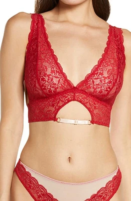 Honeydew Intimates Nicollette Lace & Mesh Bralette at Nordstrom,