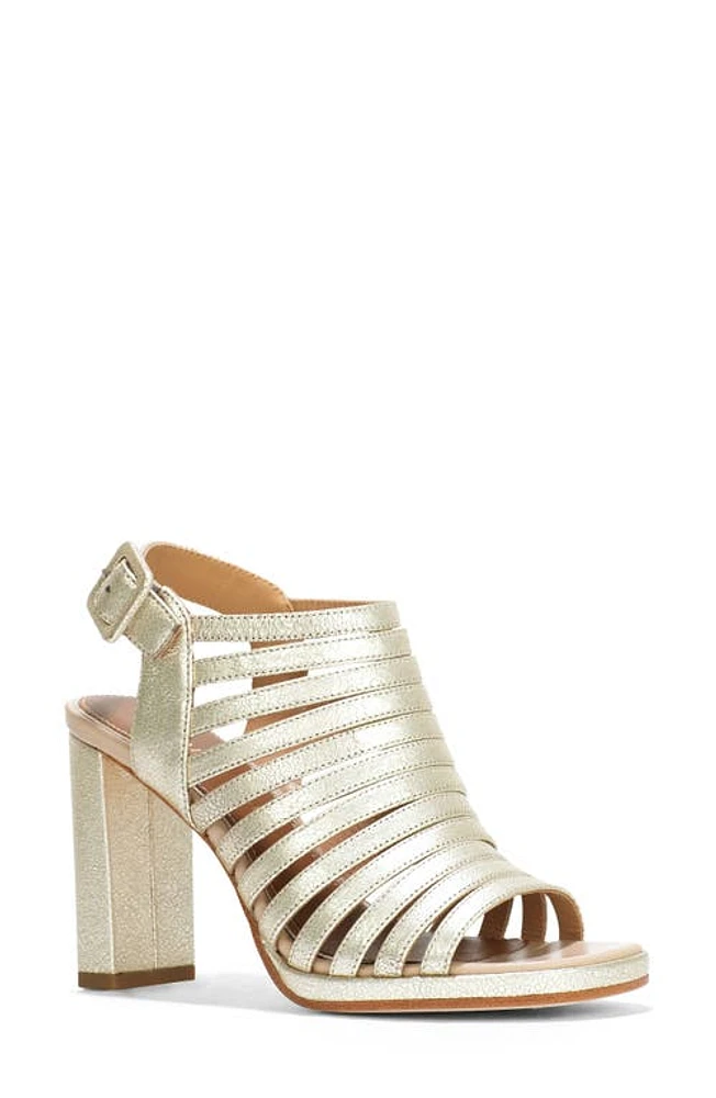 Donald Pliner Sevanna Ankle Strap Sandal Platino at Nordstrom,