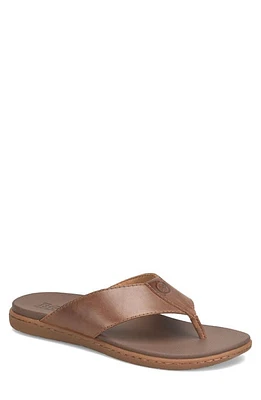 Børn Gavin Flip Flop Brown at Nordstrom,