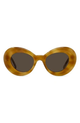 Loewe Curvy 53mm Small Butterfly Sunglasses in Blonde Havana /Brown at Nordstrom