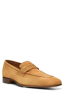 Donald Pliner Jayce Penny Loafer in Taupe at Nordstrom, Size 12