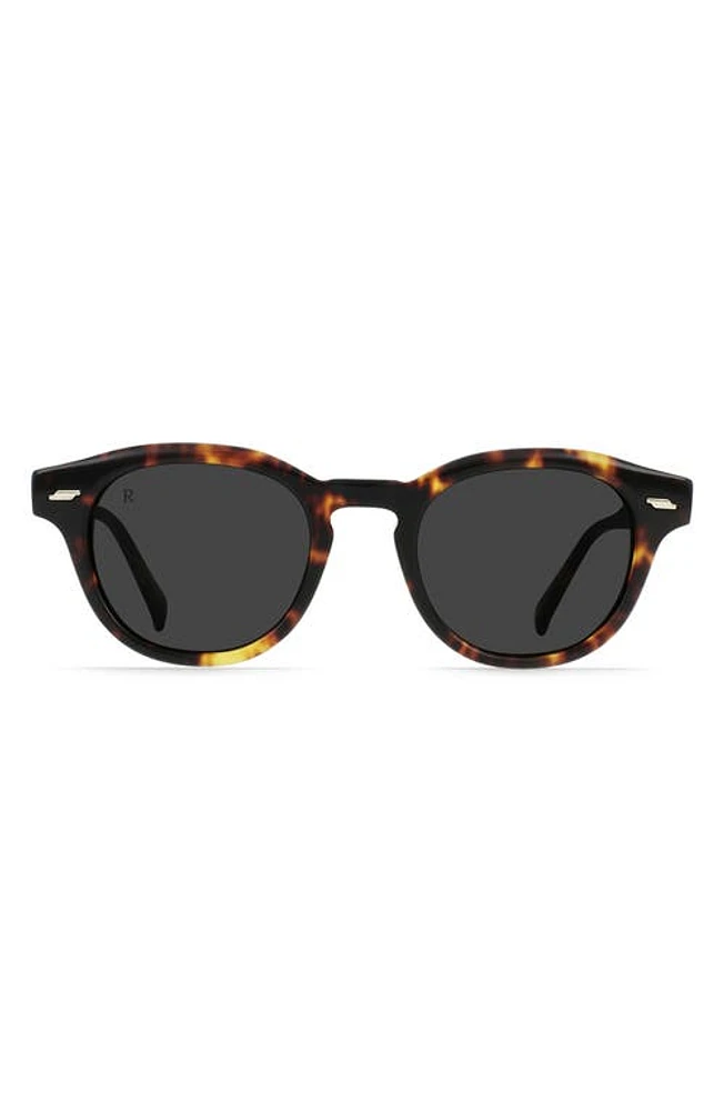 RAEN Kostin 48mm Polarized Round Sunglasses in Ristretto Tortoise/Smoke at Nordstrom