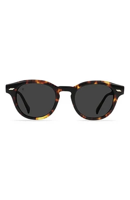 RAEN Kostin 48mm Polarized Round Sunglasses in Ristretto Tortoise/Smoke at Nordstrom