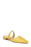 Sam Edelman Judie Mule at Nordstrom,