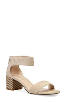 Pelle Moda Ankle Strap Sandal at Nordstrom,