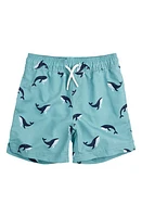 Petit Lem Kids' Whale Swim Trunks Tur Turquoise at Nordstrom,